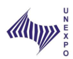 Unexpo-Logo